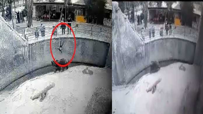 Mother threw her 3-year-old daughter in front of a bear, video went viral Mother threw her 3-year-old daughter in front of a bear, video went viral