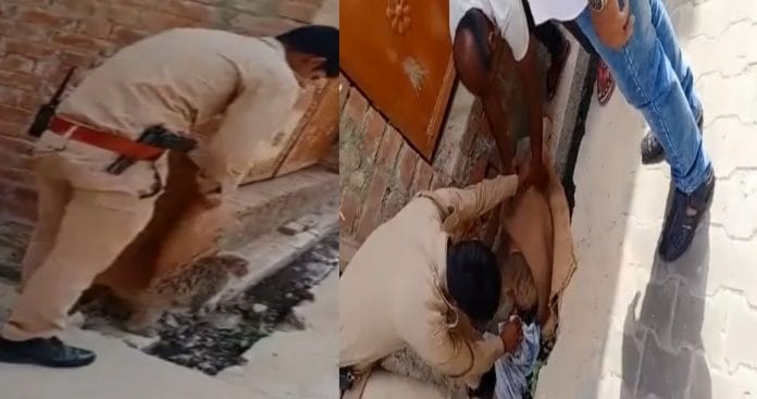 Policeman pulled out dead child trapped in monkey's womb suffering from pain, video viral on social media Policeman pulled out dead child trapped in monkey's womb suffering from pain, video viral on social media
