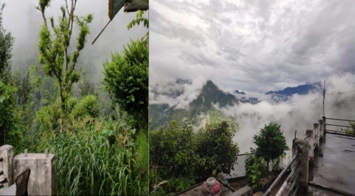 Picsart_22-07-20_12-41-59-038-1068x592 There will be no heavy rain in Uttarakhand for the next four days, the weather will also change
