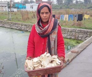 Dehradun's mushroom girl Geeta Upadhyay earns lakhs of rupees from mushroom cultivation