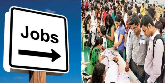 Recruitment has come out for youth in different posts in Doon University Recruitment has come out for youth in different posts in Doon University