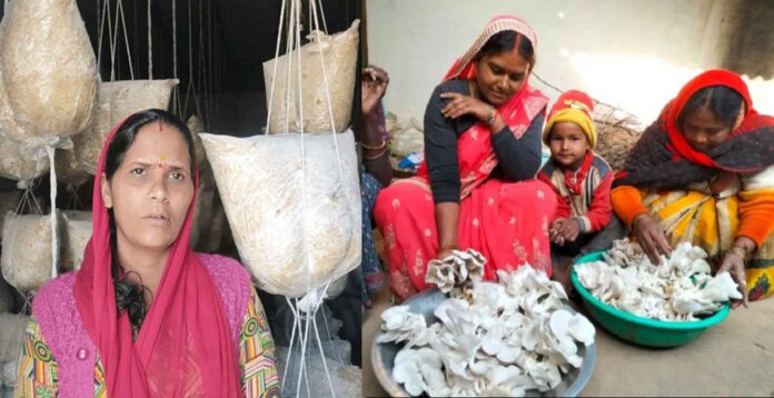 Dehradun's mushroom girl Geeta Upadhyay earns lakhs of rupees from mushroom cultivation Dehradun's mushroom girl Geeta Upadhyay earns lakhs of rupees from mushroom cultivation