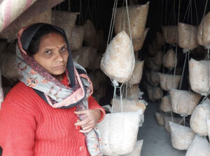 Dehradun's mushroom girl Geeta Upadhyay earns lakhs of rupees from mushroom cultivation