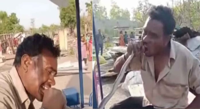 Snake came out during breaking of encroachment in Haldwani, angry young man chewed alive by putting it in his mouth Snake came out during breaking of encroachment in Haldwani, angry young man chewed alive by putting it in his mouth