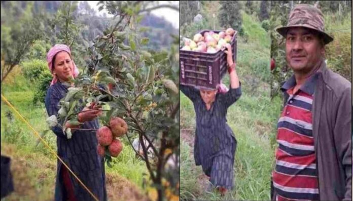IMG-20230824-WA0008 Husband and wife started apple and kiwi farming in village Pauri Garhwal, now earning well