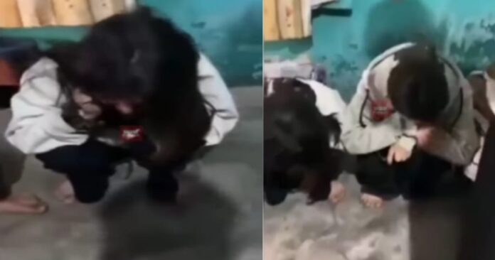 IMG-20250408-WA0001 Video of assault on two teen girls of Bageshwar Kapkot goes viral on social media, two accused arrested